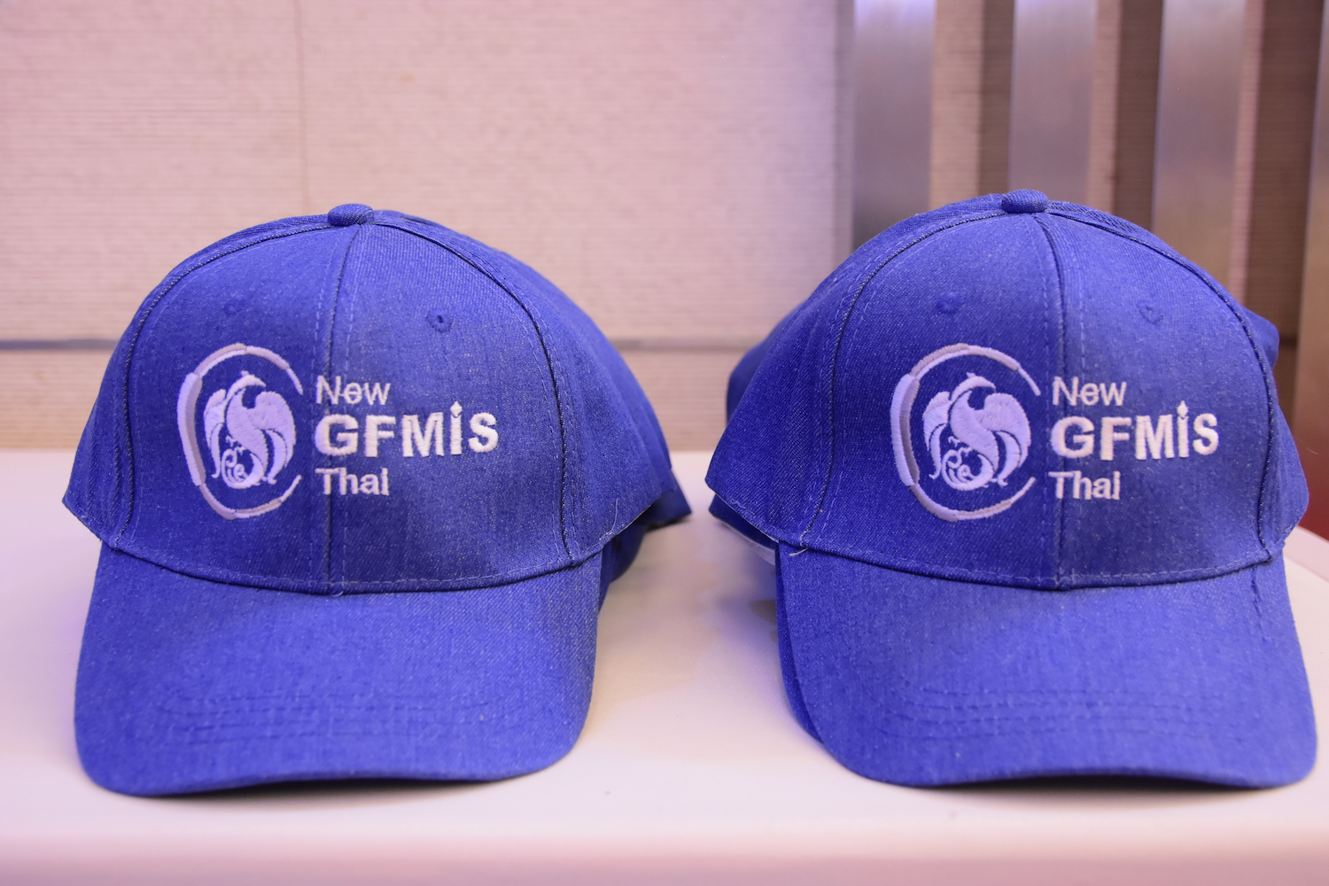 บรรยากาศผู้ร่วมงาน ร่วมเล่นเกมส์รับรางวัล Limited Edition ภายในงานพิธีมอบรางวัลตามโครงการประกวดออกแบบตราสัญลักษณ์ (LOGO) ระบบบริหารการเงินการคลังภาครัฐแบบอิเล็กทรอนิกส์ใหม่